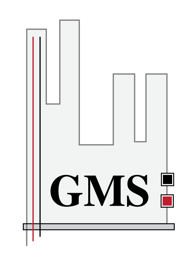 GMS asesoría